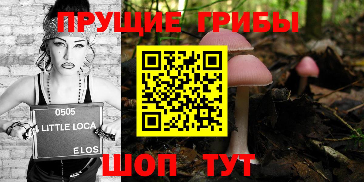 Псилоцибиновые грибы мухоморы  Галлюциногенные грибы Psilocybe  Вход с VPN  Серов 