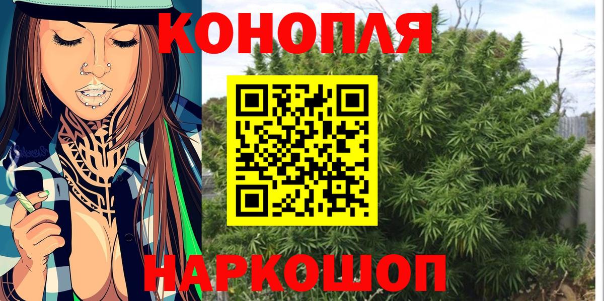 Каннабис сатива  Бошки марихуана THC 21%  Вход с VPN  Серов 